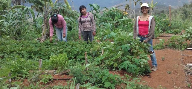 Kolumbien: Mehr Bildung, mehr Hygiene, bessere Arbeitsbedingungen